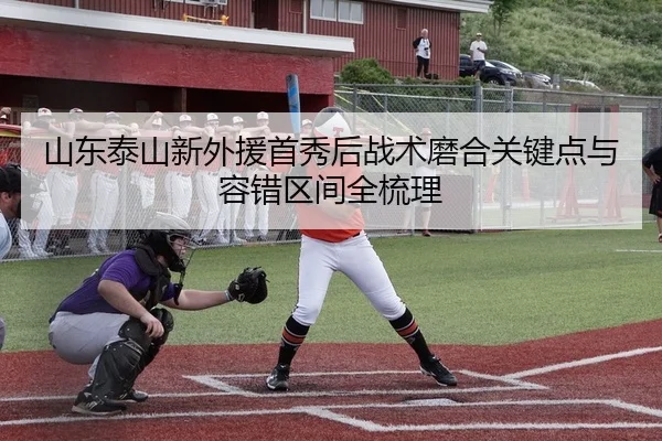 山东泰山新外援首秀后战术磨合关键点与容错区间全梳理